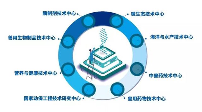 检验检疫技术中心究竟是做什么的?让我们一起来揭开它的神秘面纱。